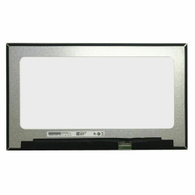 Dell Latitude 5410 (2X9Y9) laptop screen