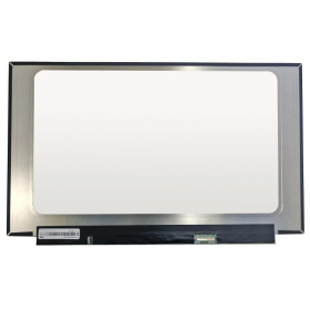 5D11A08811 Laptop Screen