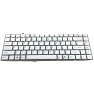 Sony Vaio VGN-FW100 keyboard